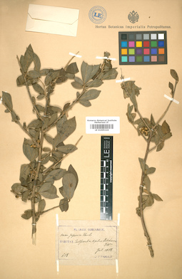 LE 01005224