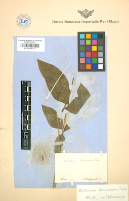 LE 01005227
