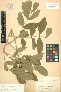 LE 01005228