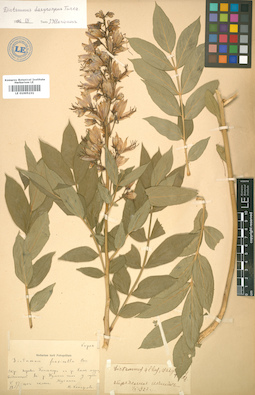 LE 01005231