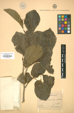 LE 01005243