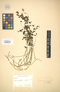 LE 01005248