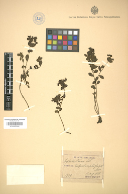 LE 01005249
