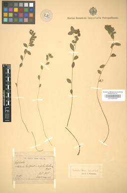 LE 01005250