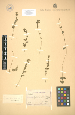 LE 01005251