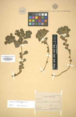 LE 01005252