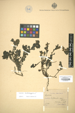 LE 01005253