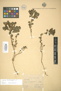 LE 01005254
