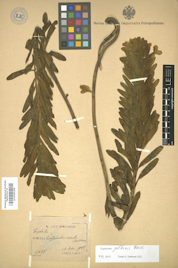 LE 01005258