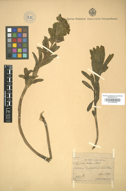 LE 01005259