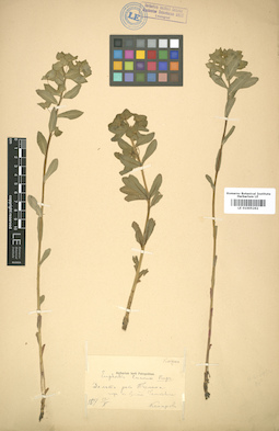 LE 01005262