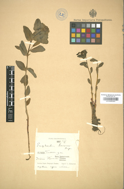 LE 01005263