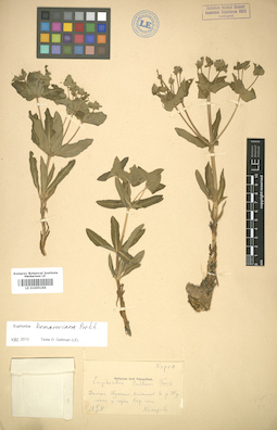 LE 01005266
