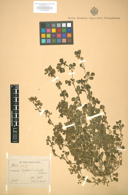 LE 01005285