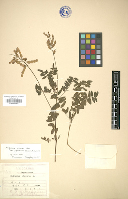 LE 01005301