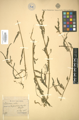 LE 01005303
