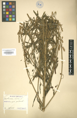 LE 01005304