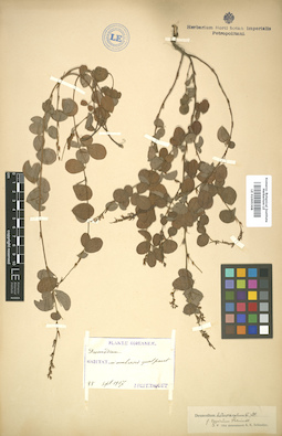 LE 01005308