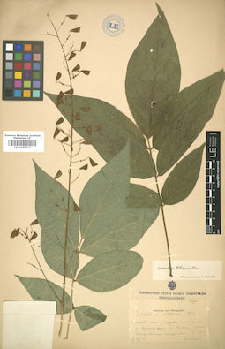 LE 01005312