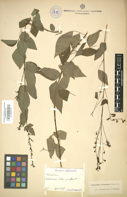 LE 01005314