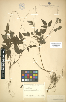 LE 01005315