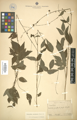 LE 01005316