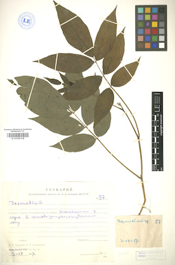 LE 01005318