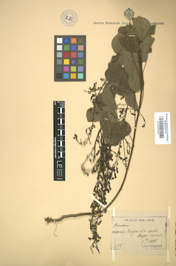 LE 01005319
