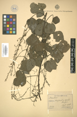LE 01005320