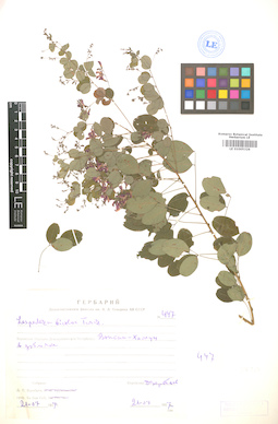 LE 01005326
