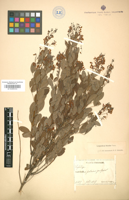 LE 01005331