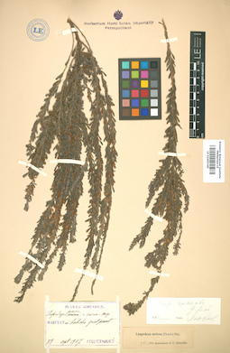 LE 01005345