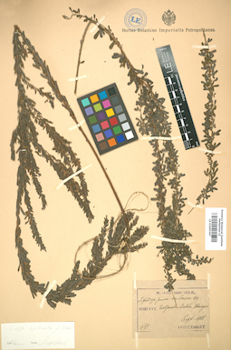 LE 01005347
