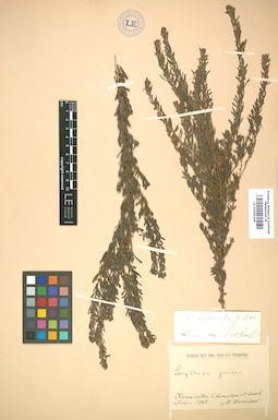 LE 01005349
