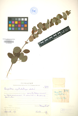 LE 01005350