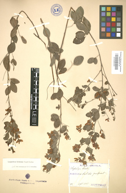 LE 01005355