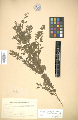LE 01005358