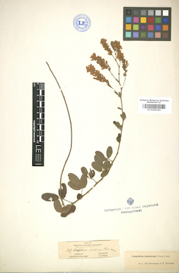 LE 01005362