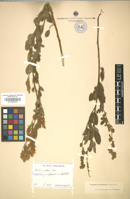 LE 01005363