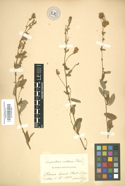 LE 01005368