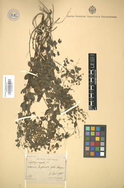 LE 01005371