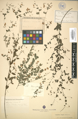 LE 01005374