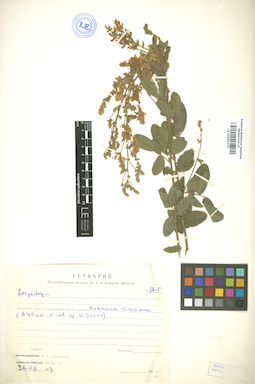 LE 01005376