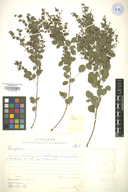 LE 01005379