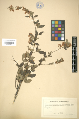 LE 01005387