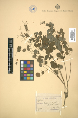 LE 01005388