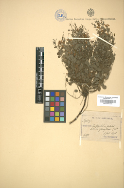 LE 01005389