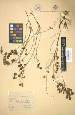LE 01005390