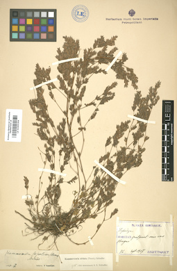 LE 01005394