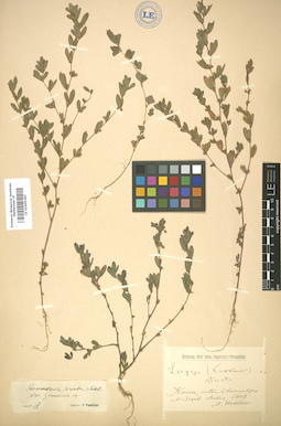 LE 01005395